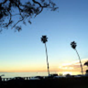 Meet your Posher, Audrey